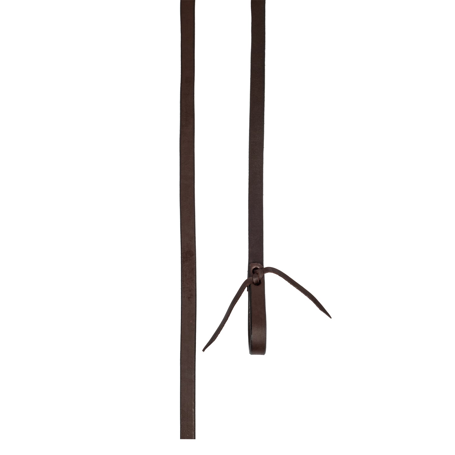 Pool's harness reins