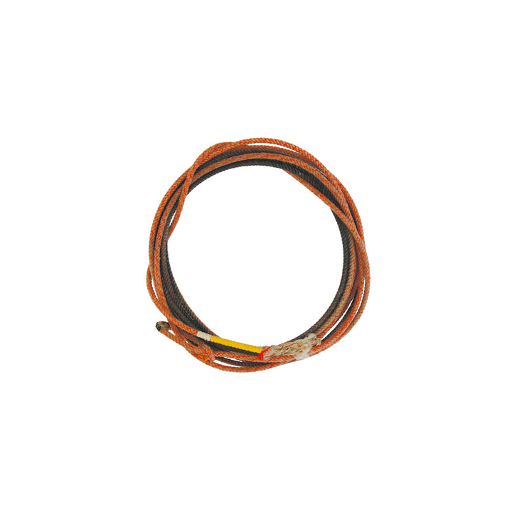 Pool's used professional lasso