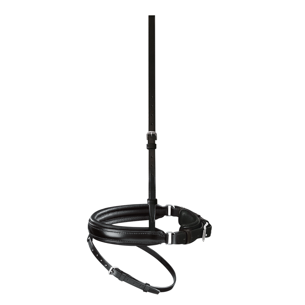 Passier anatomically formed caveson special with flash strap