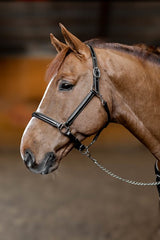 HFI Halter little groom