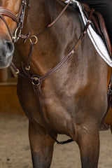 HFI pro breastplate Arezzo