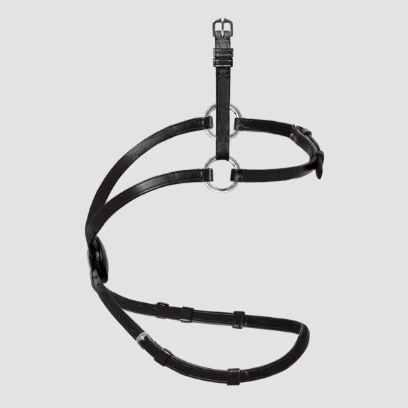 Passier exchangeable figure 8 noseband
