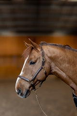 HFI Halter little groom