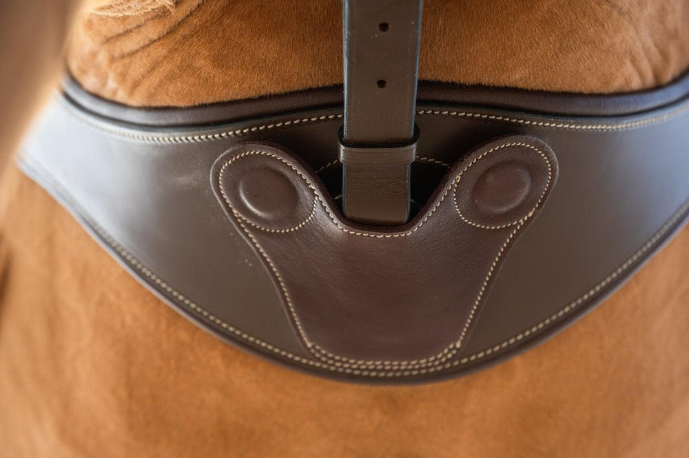 HFI anatomic girth with magnets