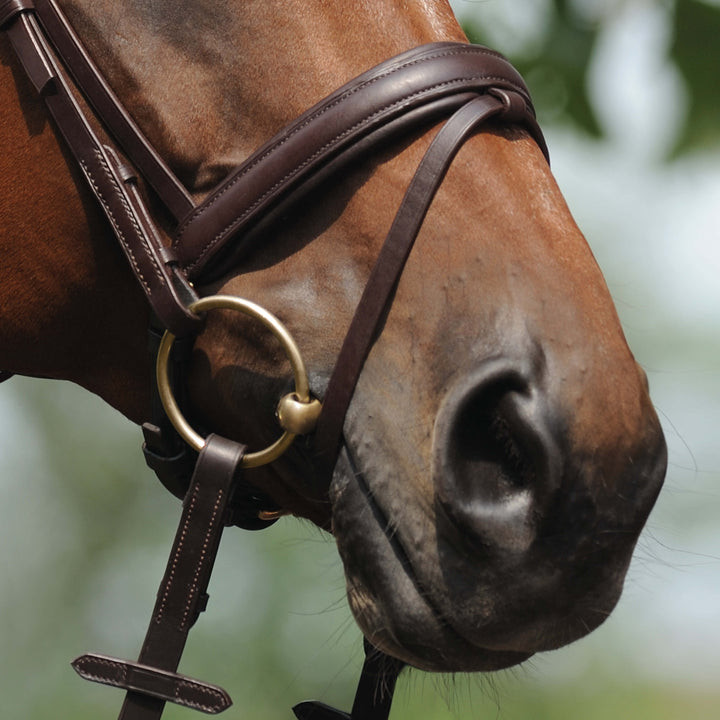 Passier anatomically formed caveson special with flash strap