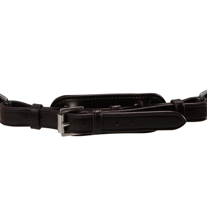 Acavallo poesia bridle