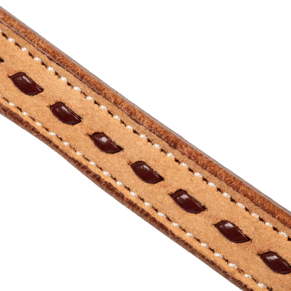 Pool's 2 tone western reins