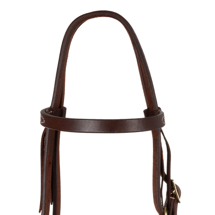 Pool's western tie ends browband bridle
