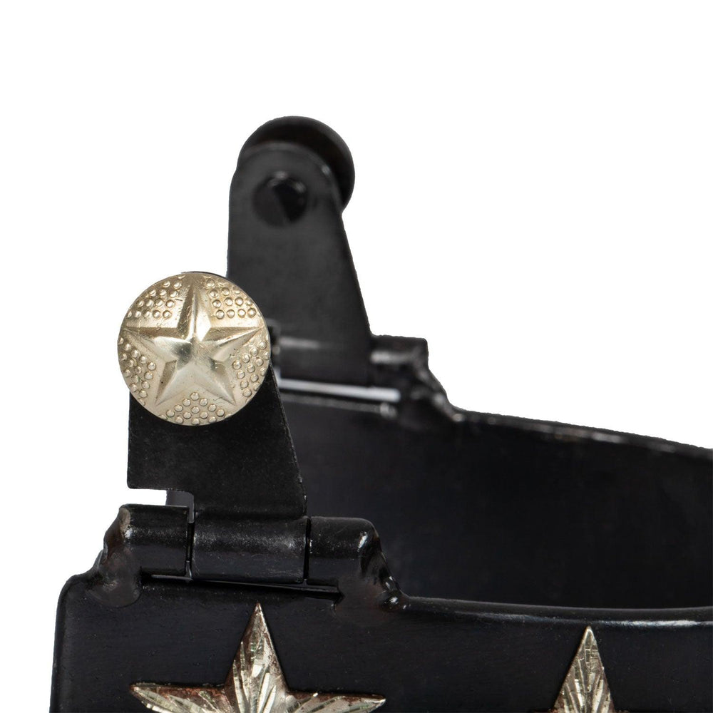 Pool's star lux western spurs