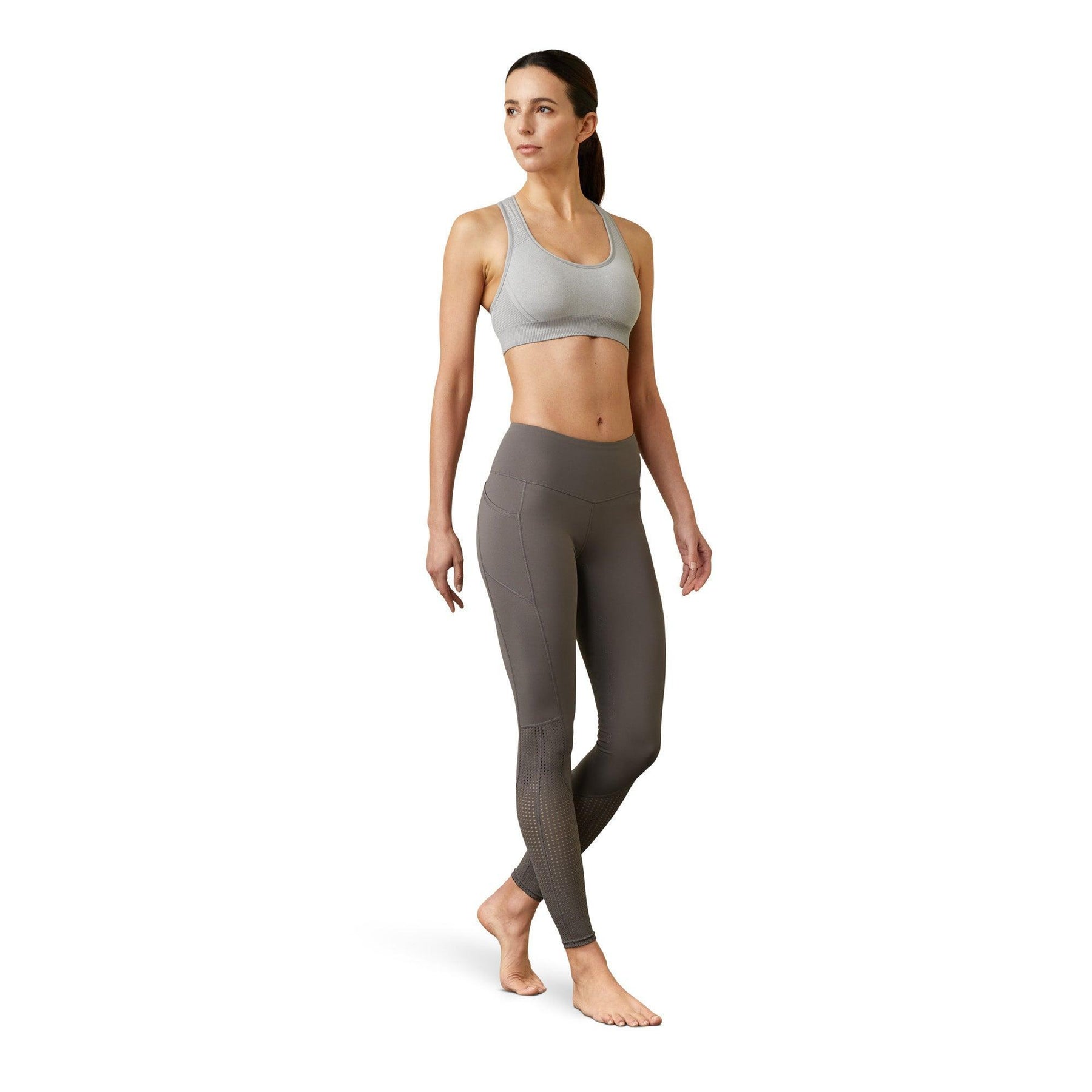 Ariat eos full seat tight ladies - HorseworldEU