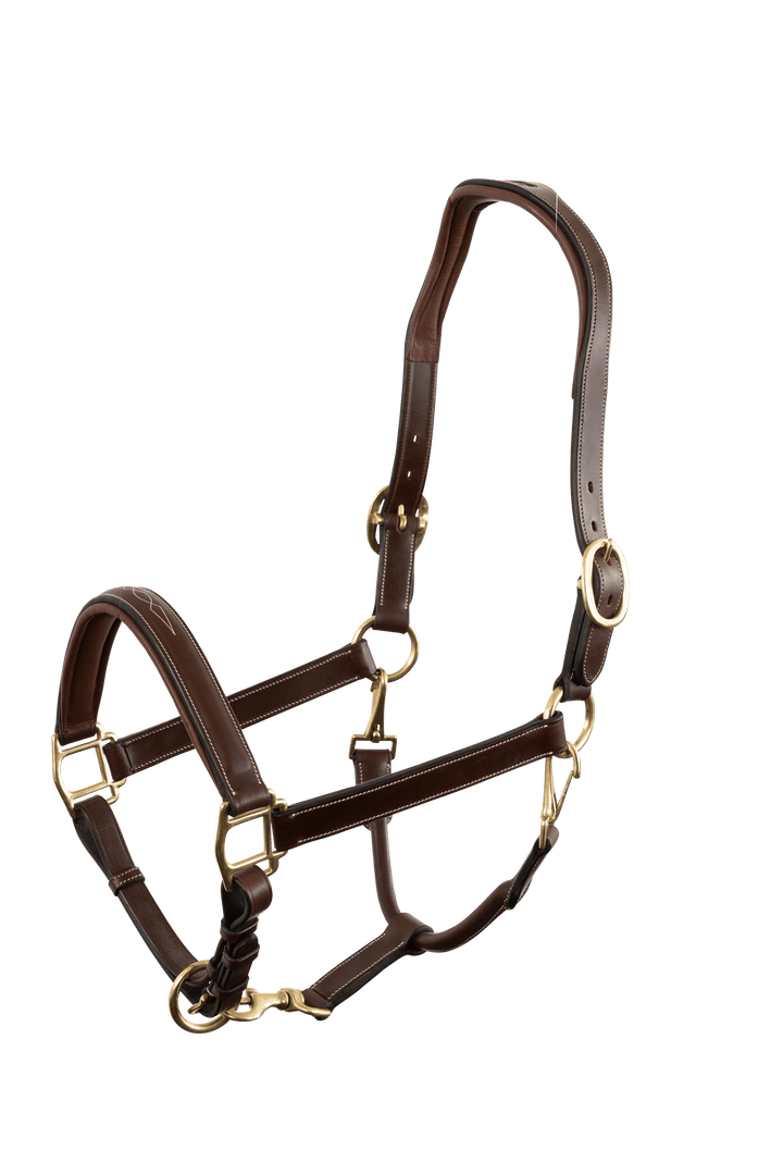 Trust halter san Miguel