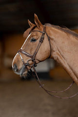 HFI Round bridle - HorseworldEU