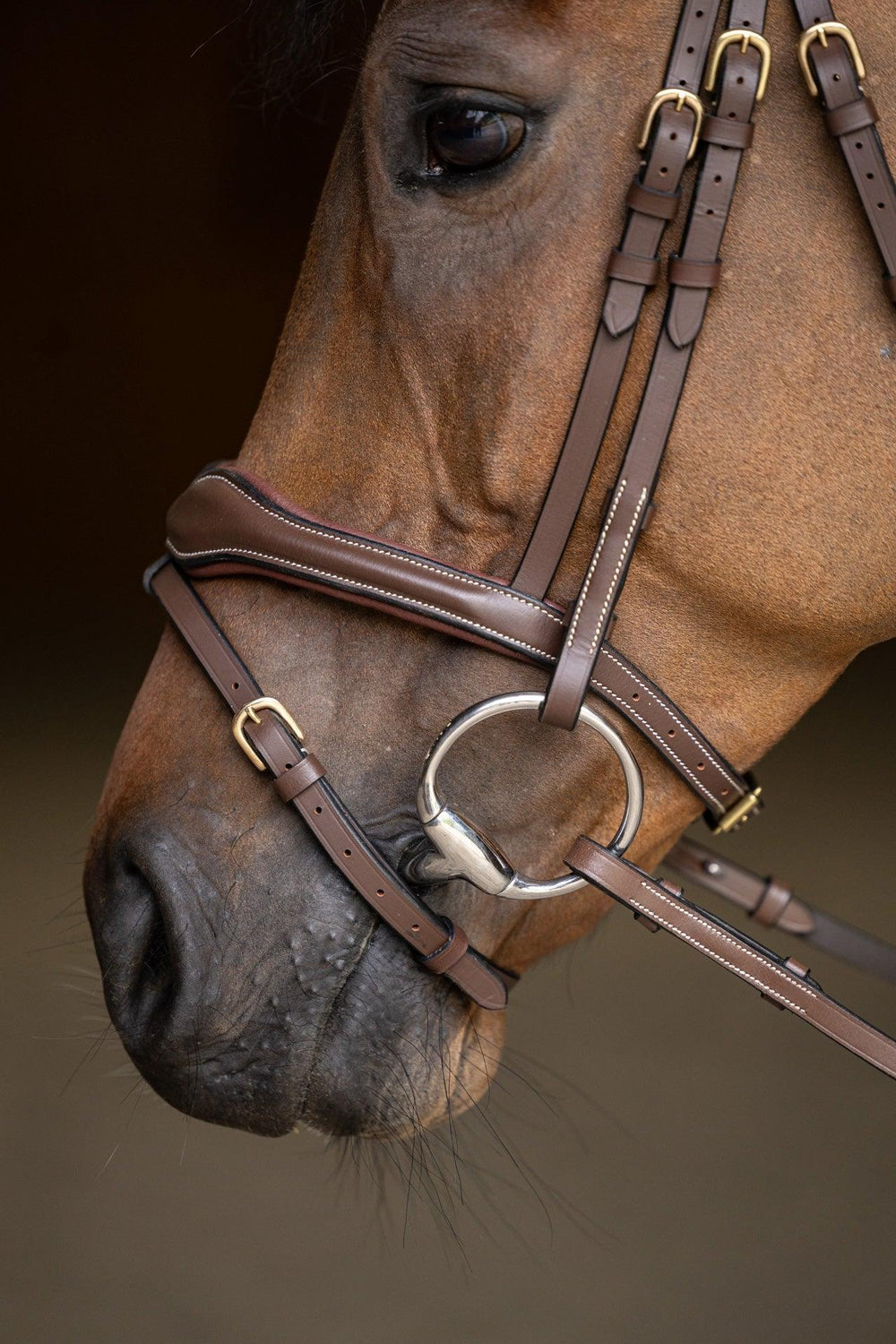 HFI wavy bridle - HorseworldEU