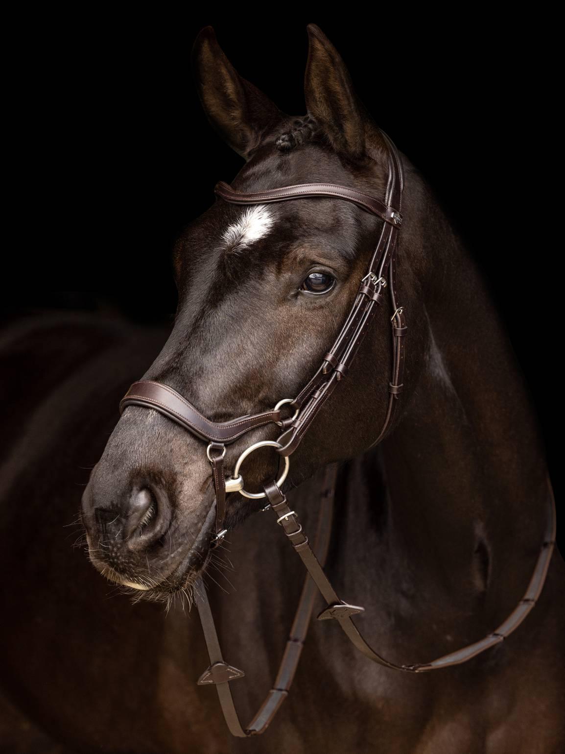 LeMieux Arika drop bridle - HorseworldEU