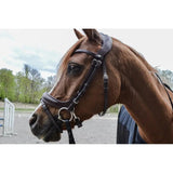 Montar bretagne bridle Montar