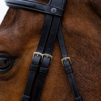 Trust Amsterdam Combined noseband bridle anatomic - HorseworldEU