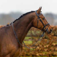 Trust Amsterdam Combined noseband bridle anatomic - HorseworldEU