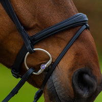 Trust Amsterdam Combined noseband bridle anatomic - HorseworldEU