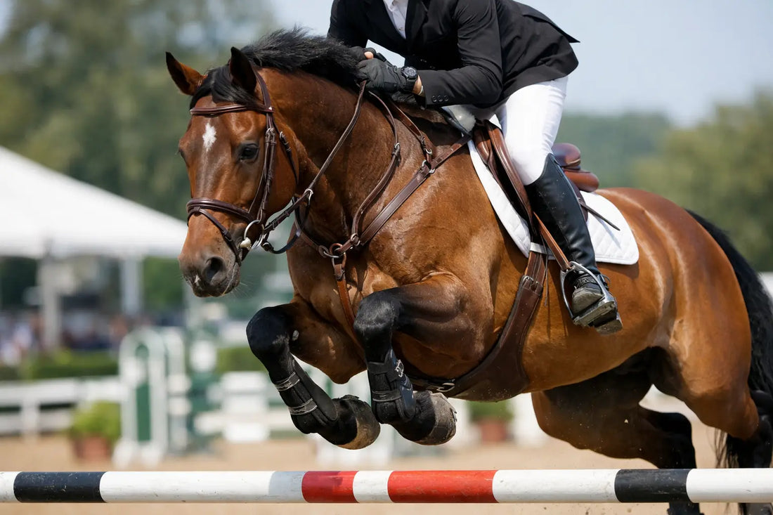 Why Use Martingale for Jumping?
