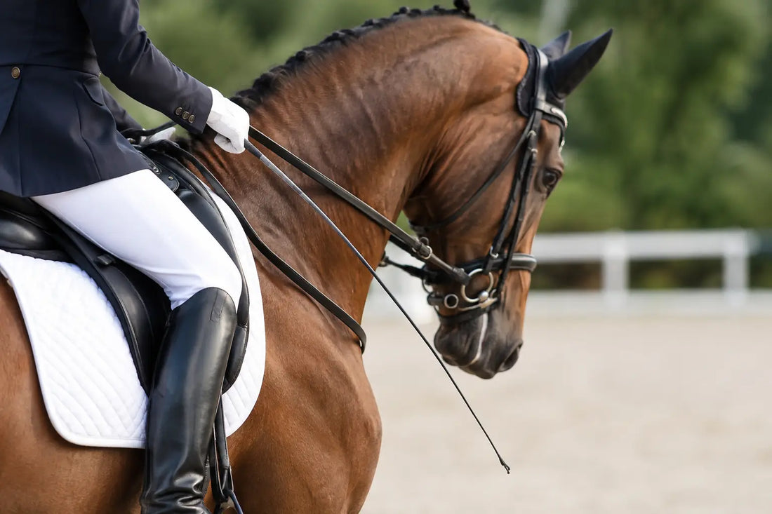 What Is a Dressage Whip and How Is It Used?