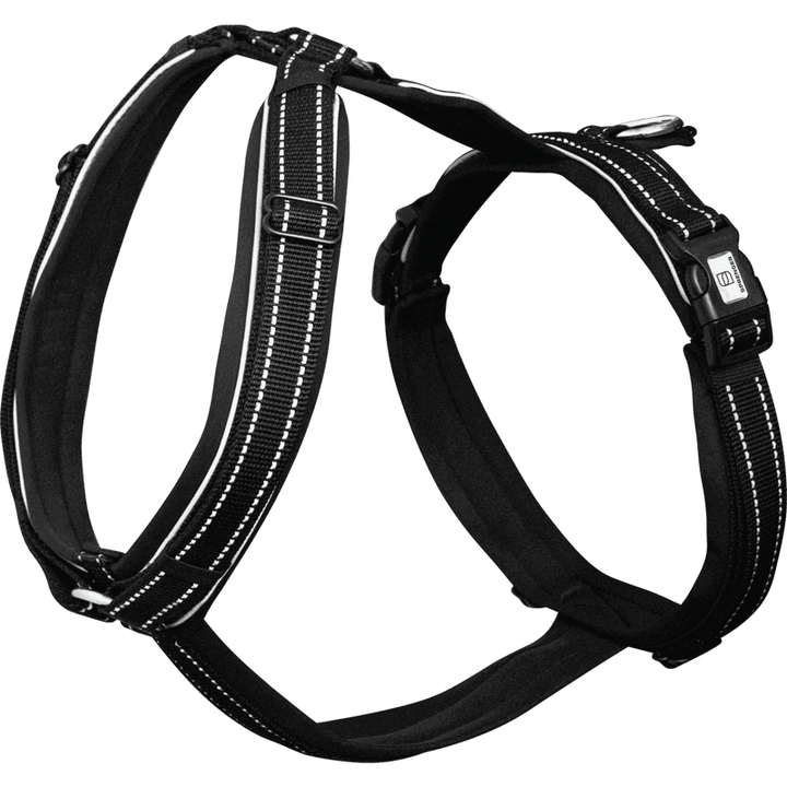 Herm. Sprenger foal harness