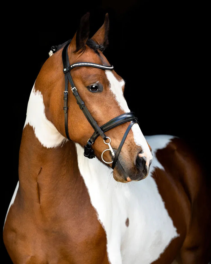 Bridon Fair avec têtière anatomique - Noir