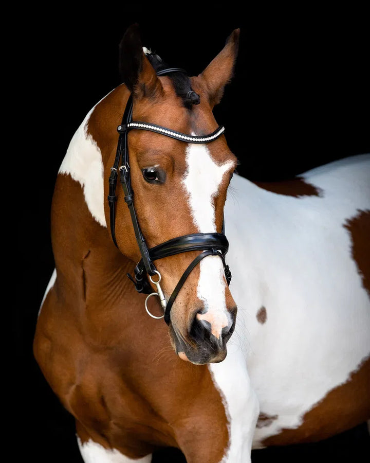Bridon Fair avec têtière anatomique - Noir