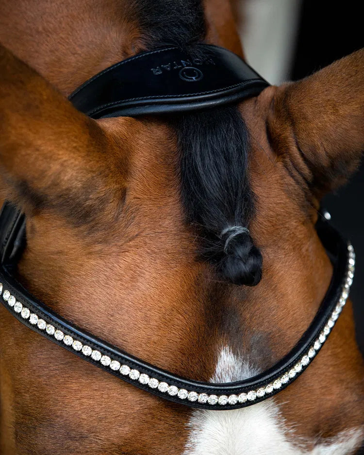 Bridon Fair avec têtière anatomique - Noir
