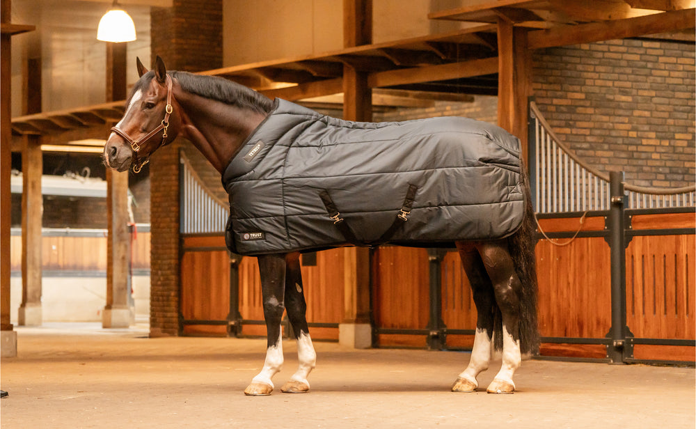 Trust equestrian tetris stable rug 400 gram