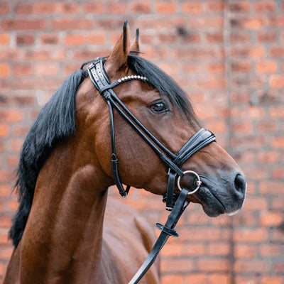 Herm. Sprenger WH ultra bradoon 40227