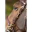 Hfi combo bridle / halter HFI