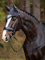 LeMieux earth fly hood - HorseworldEU