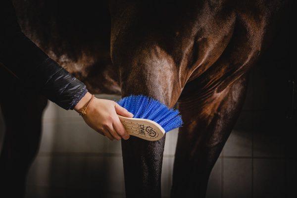 One equestrian horse brush medium - HorseworldEU