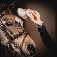 One equestrian super soft brush - HorseworldEU