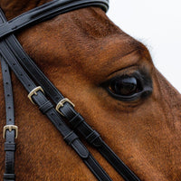 Trust Rome Drop noseband bridle - HorseworldEU